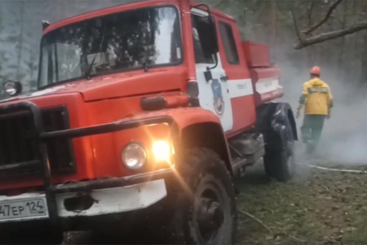 В Минусинском районе от удара молнии загорелся лес
